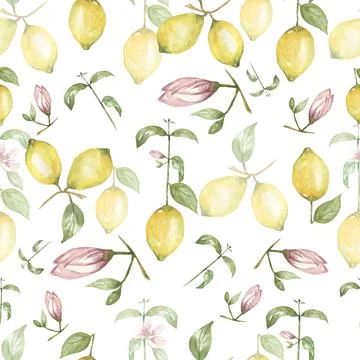 Watercolor hand drawn Seamless pattern. Yellow citrus fruit fruit. Sicily L.. Stock Illustration