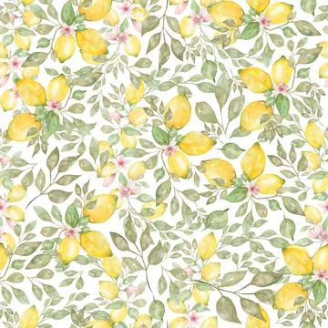 Watercolor hand drawn Seamless pattern. Yellow citrus fruit fruit. Sicily L.. Stock Illustration