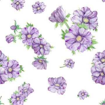 Watercolor hand drawn seamless pattern of purple anemones with green leaves.. Stock Illustration