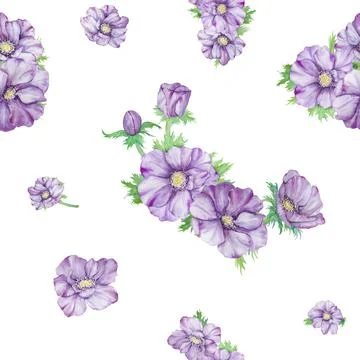 Watercolor hand drawn seamless pattern of purple anemones with green leaves.. Stock Illustration