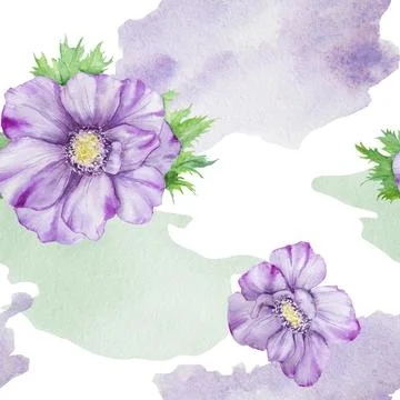 Watercolor hand drawn seamless pattern of purple anemones with green leaves.. Stock Illustration