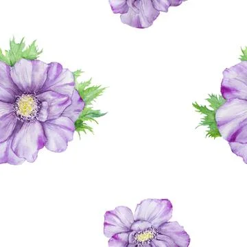 Watercolor hand drawn seamless pattern of purple anemones with green leaves i Stock Illustration