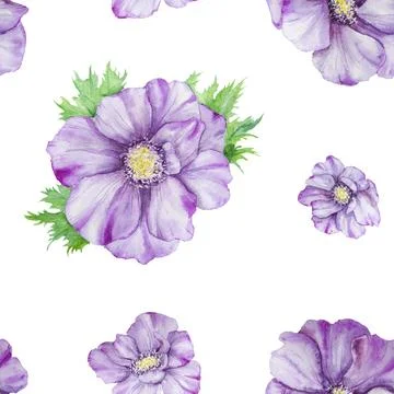 Watercolor hand drawn seamless pattern of purple anemones with green leaves.. Stock Illustration