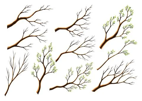 Watercolor hand drawn set of tree branches. Colorful collection of sticks and Stock Illustration
