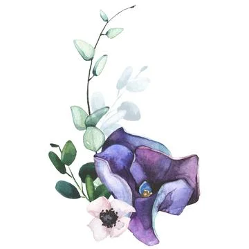 Watercolor hand painted violet hydrangea, pink anemone and turquoise eucalyptus Stock Illustration