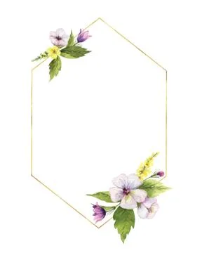 Watercolor hand vector painted frame with field flowers. Stock Illustration