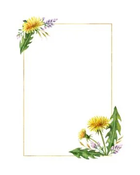Watercolor hand vector painted frame with meadow plants. Stock Illustration