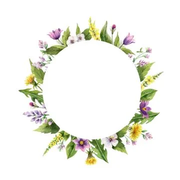 Watercolor hand vector painted frame with field flowers. Stock Illustration
