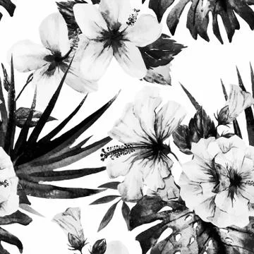 Watercolor hibiscus patterns Stock Illustration