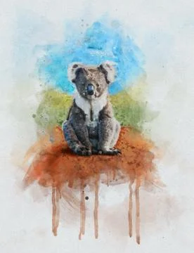 Watercolor Illusration of a Koala Stock Illustration