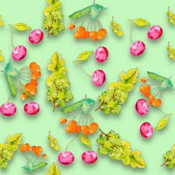 Watercolor illustration of a cherry Stock Illustration