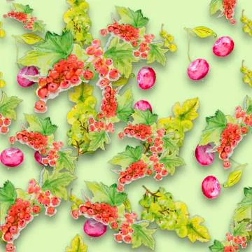 Watercolor illustration of a cherry Stock Illustration