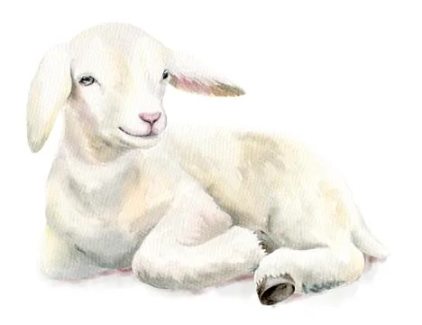 Watercolor illustration Lamb, Easter image, portrait goat Stock Illustration