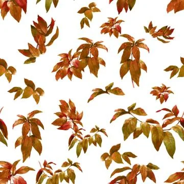 Watercolor illustration of leaf, seamless pattern on white background Stock Illustration