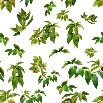 Watercolor illustration of leaf, seamless pattern on white background Stock Illustration