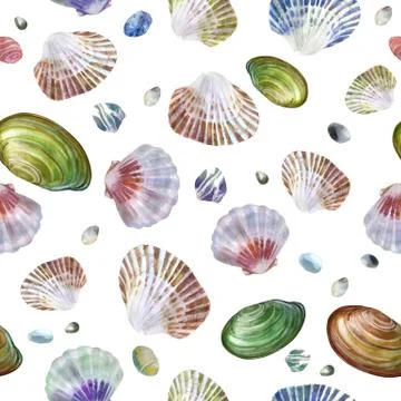 Watercolor illustration. Pattern of sea shells and sea stones on a white back Illustrazione stock