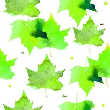 Watercolor illustration. Pattern of transparent warm green maple leaves Stock Illustration