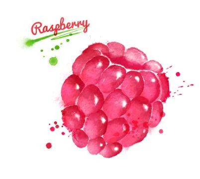 Watercolor illustration of raspberry Stock Illustration