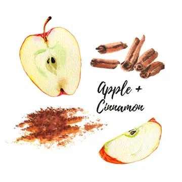 Watercolor illustration. Red apple slice, a half the cinnamon sticks and powder Stock Illustration