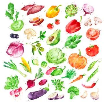 Watercolor illustration set of vegetables Stock Illustration