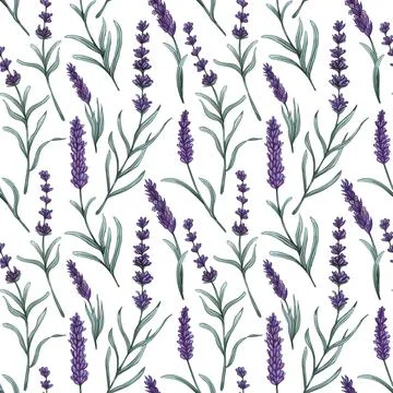 Watercolor lavender seamless pattern. Hand drawn floral background. Stock Illustration