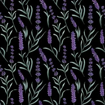 Watercolor lavender seamless pattern. Hand drawn floral background. Stock Illustration