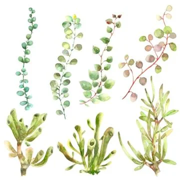 Watercolor leaf branches set Stock Illustration