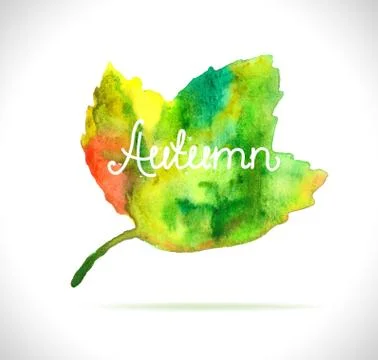 Watercolor leaf design element Stock Illustration
