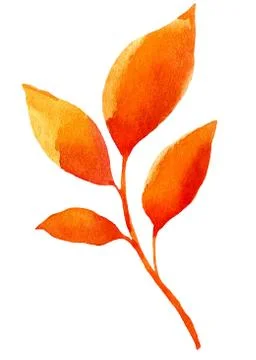 Watercolor leaf elements for design Stock Illustration