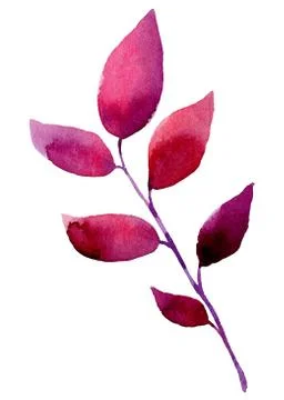 Watercolor leaf elements for design Stock Illustration