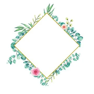 Watercolor  leaf eucalyptus frame hexagon vector illustration 스톡 일러스트