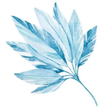 Watercolor Leaf Stock Illustration