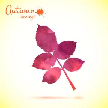 Watercolor leaf Stock Illustration
