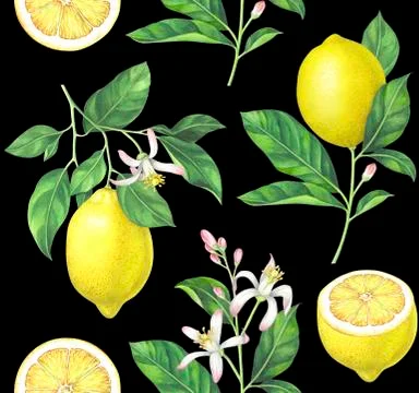 Watercolor lemon pattern on black background Stock Illustration