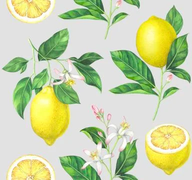 Watercolor lemon pattern on gray background Stock Illustration