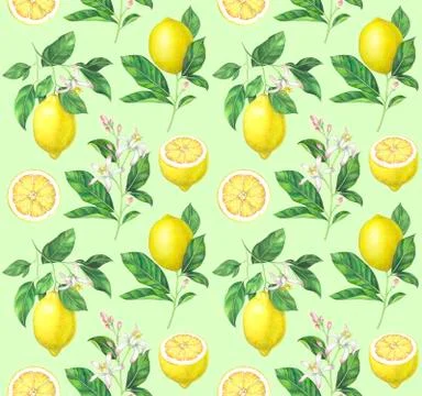 Watercolor lemon pattern on light green background 스톡 일러스트