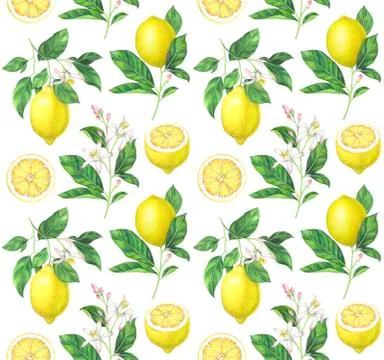 Watercolor lemon pattern on white background Stock Illustration