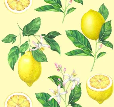Watercolor lemon pattern on yellow background Stock Illustration