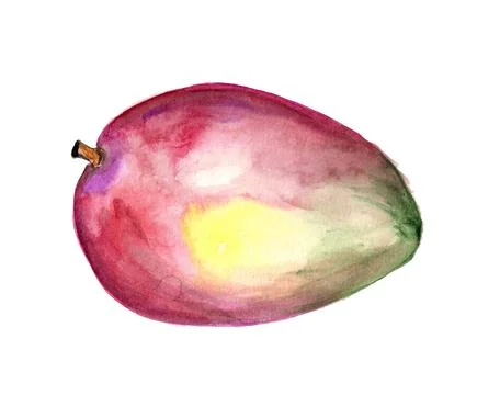 Watercolor mango Stock Illustration