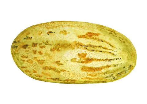 Watercolor melon Stock Illustration