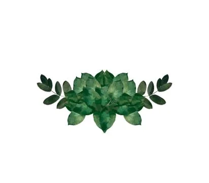 Watercolor modern decorative element.  Eucalyptus round Green leaf Wreath, gr Stock Illustration