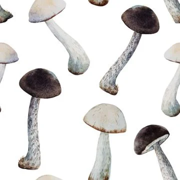Watercolor mushroom vector pattern Stock Illustration