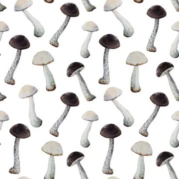 Watercolor mushroom vector pattern Stock Illustration