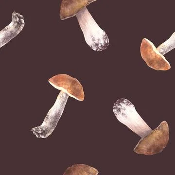 Watercolor Mushrooms seamless pattern. Fall harvest porcini, red cap Boletus Illustrazione stock