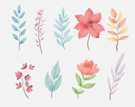 Watercolor nature elements Stock Illustration