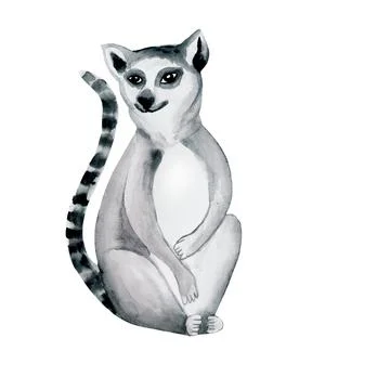 Watercolor nice lemur isolated on white. Great for kids print, fabric Stock Illustration