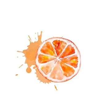 Watercolor orange slice Illustrazione stock