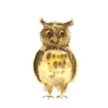 Watercolor owl. Vector. Stock Illustration
