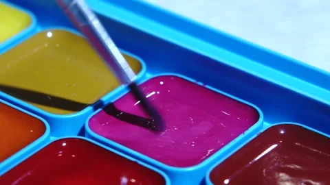 Watercolor paint palette set Stock Footage 233211237
