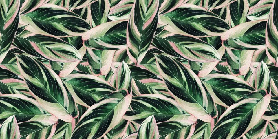 Watercolor painting colorful tropical green,pink leaves seamless pattern back Stock Illustration